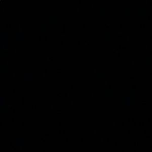 Meet your Posher, Wesley